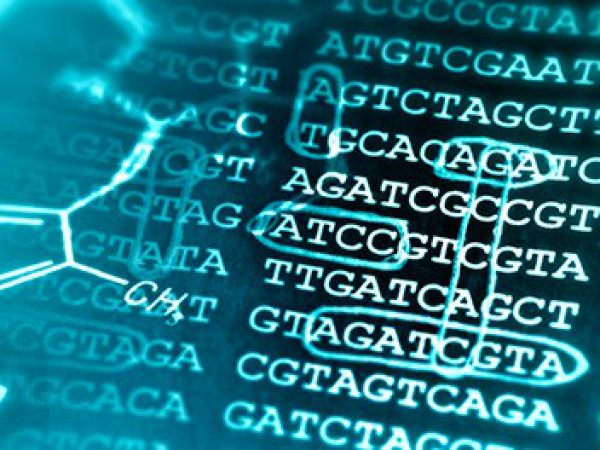 Bioinformatics_Solution_circulants